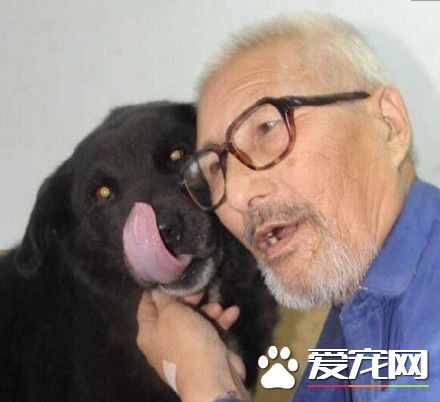 怕死后没人照顾 老翁全部财产都留给爱犬