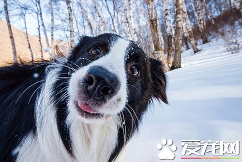 哈喽，你是在拍我吗