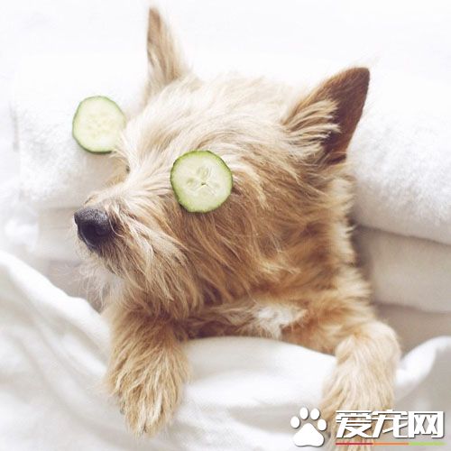 假期睡个美容觉真的太舒服了