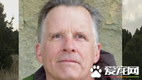 黄石公园大灰熊咬死人后被捕获 或被处死