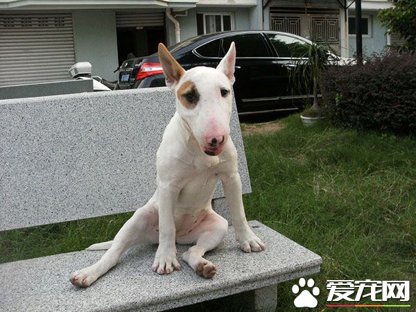 尼玛，昨天约的网友居然放我鸽子