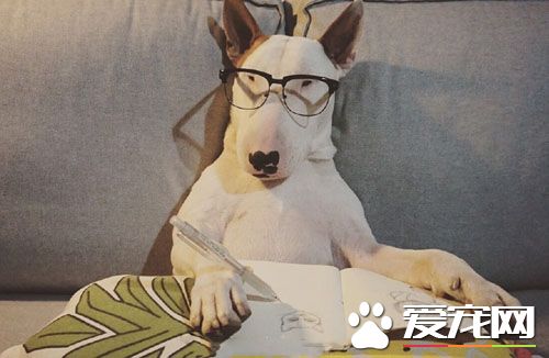 汪在搞创作的时候请不要拍照好吗？