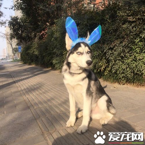 我这么可爱你们居然说我二，真是想不通