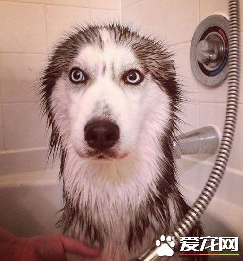 把我英俊帅气的容颜还回来！