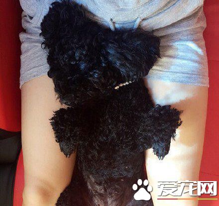 就喜欢睡在温暖的地方