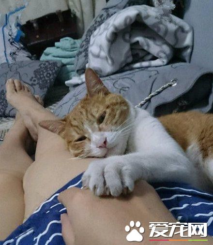 主淫快给我讲故事