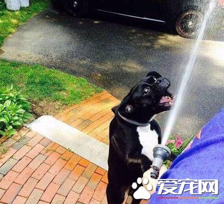 给我喝一口水啊