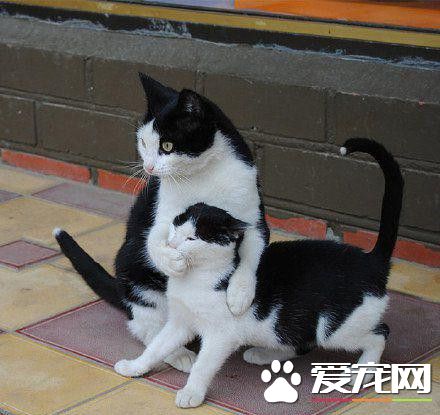 咱们要悄悄的溜走