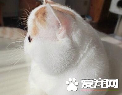 是谁说的拍照拍侧脸显瘦