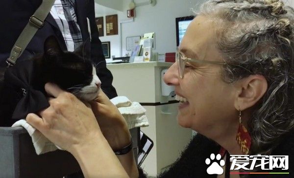 街猫摇身一变成治疗猫 每天搭推车巡房