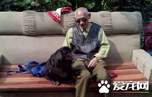 爱犬年迈瘫痪 8旬老翁不离不弃每天背它一起散步
