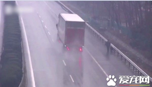 男子在高速公路上遛狗 原因竟是这里比较干净