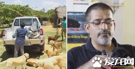 不忍流浪狗被捕杀 印度男子收养700多只流浪狗