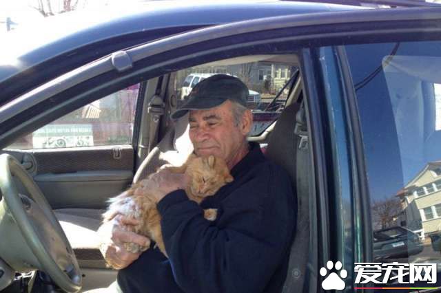 老翁每天都喂流浪猫 22年风雨无阻坚持每天喂