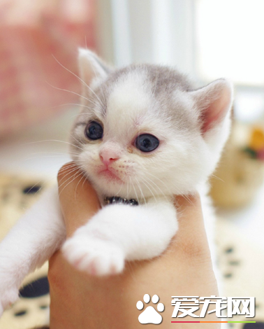 快放开我，不然我生气了