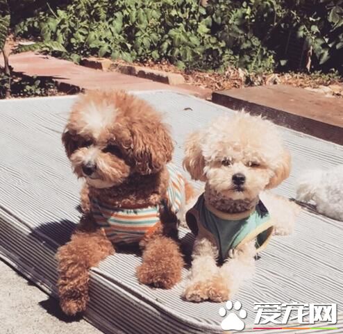 晒晒日光浴真的好舒服啊