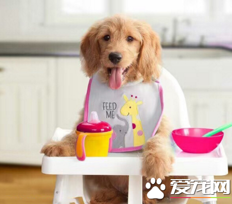 等开饭的小宝宝，太萌了