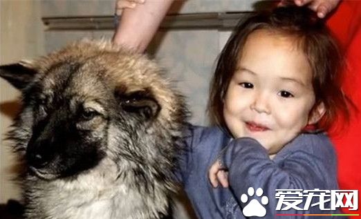 4岁女孩荒野走失 与狗相伴12天奇迹获救