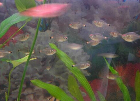 QQ截图20170208161334