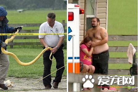 佛州宠物蟒蛇勒死2岁女童 饲主已遭起诉