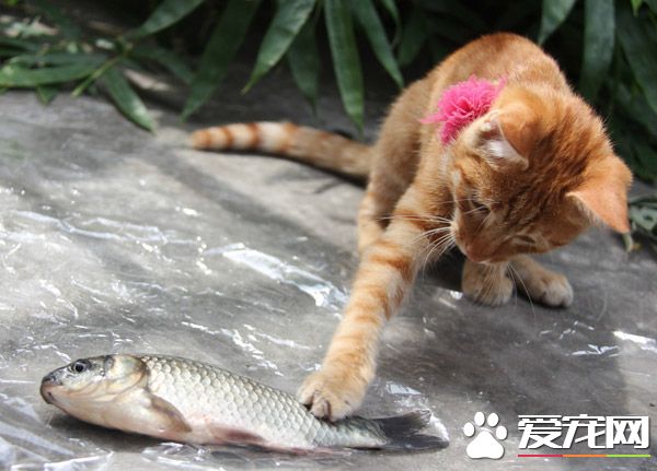 我靠，你还跳，我按住你。