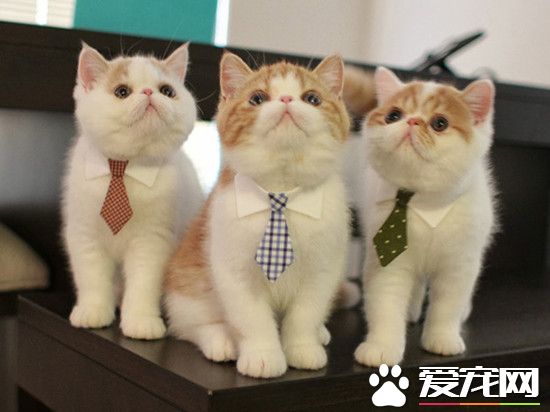 职场精英就是这么帅