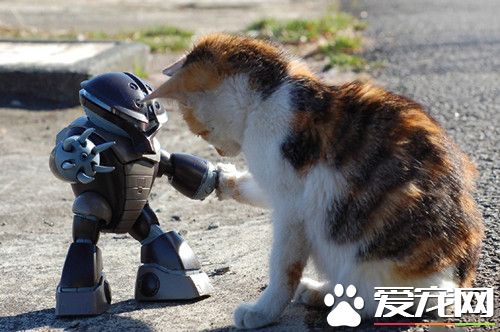 看样子挺拽的啊，跟我来较量一下