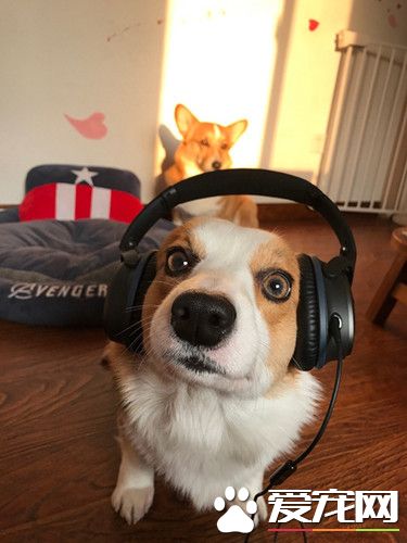 我就是爱音乐，别让我停下来