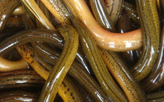 QQ截图20170313172108