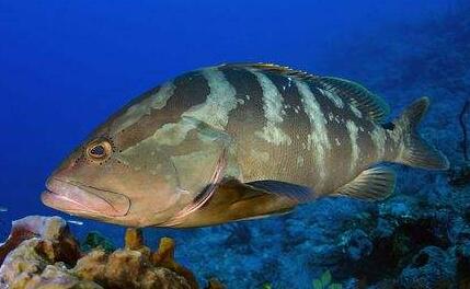 QQ截图20170313152719