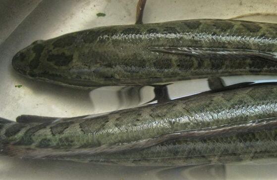 QQ截图20170313141317