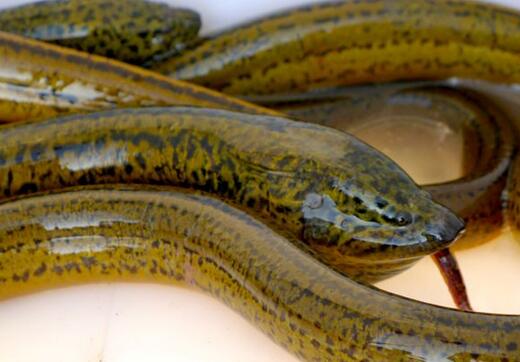 QQ截图20170313172116