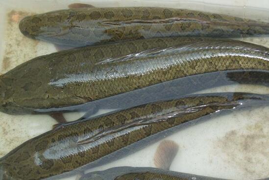 QQ截图20170313141325