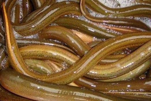 QQ截图20170313173106