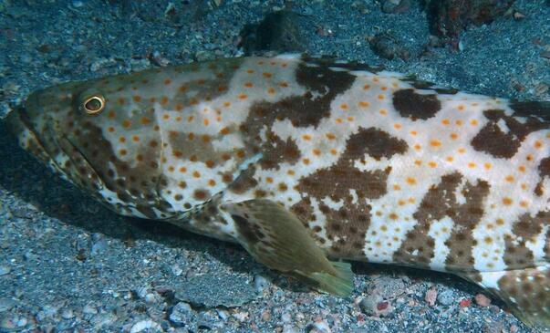 QQ截图20170313152724