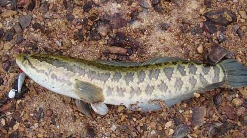 QQ截图20170313141312