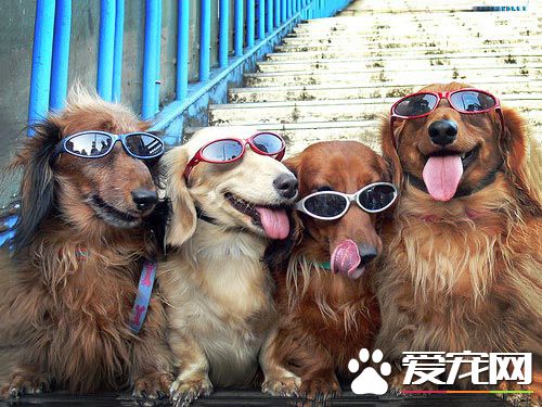 今天天气不错，适合泡妞