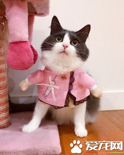 先森，请过来这边打针