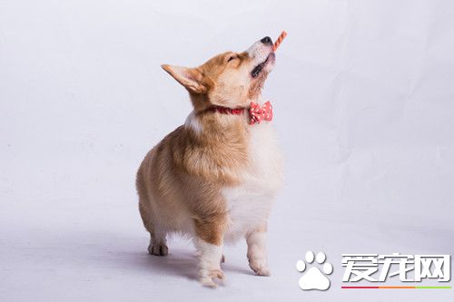 怎么还没人给我点烟呢