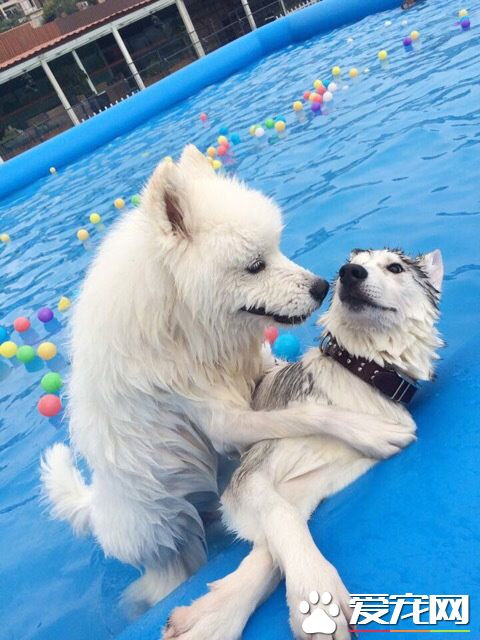 大庭广众你别这样好吗