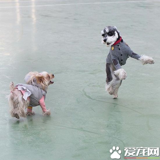 妹子，赏脸跟哥跳支舞不