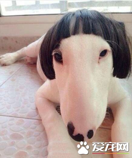 这发型感觉不错