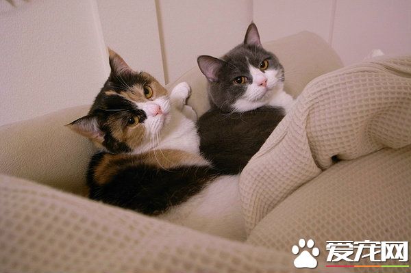 享受慵懒好时光