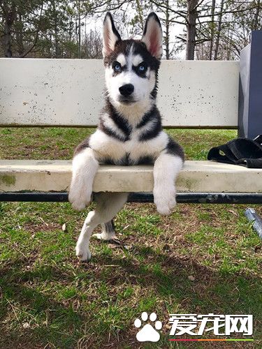 摆最酷的姿势，撩最辣的美女