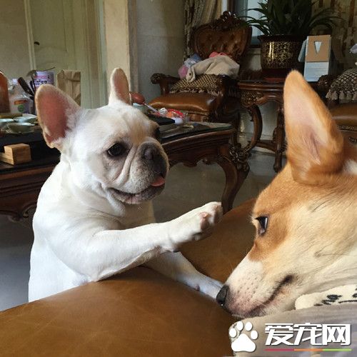 你小子整天就知道睡，作业做完了吗？