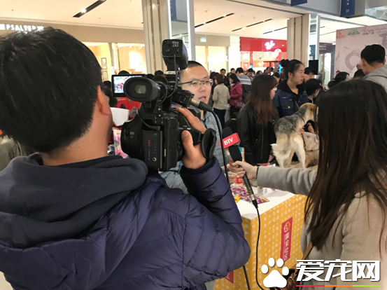 第二届“国安社区公益领养活动”暖心落幕