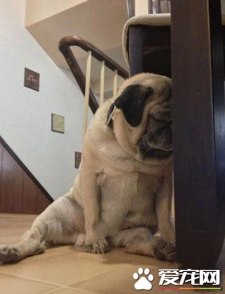 又失恋了，不想活了