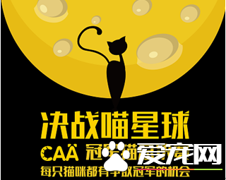 家猫能参与的国际赛事报名海选就送猫砂