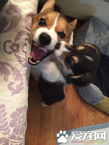 看到没，我儿子亲我了！哈哈哈！