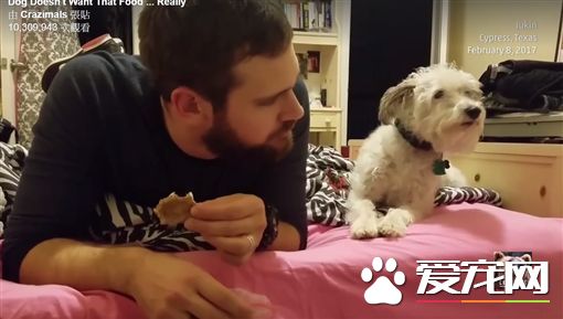 主人吃零食太香 汪星人频频偷看还装没事